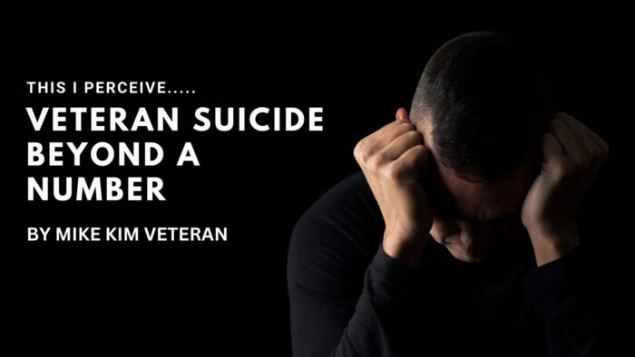 This I Perceive… Veteran Suicide Beyond a Number