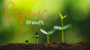 organic growth